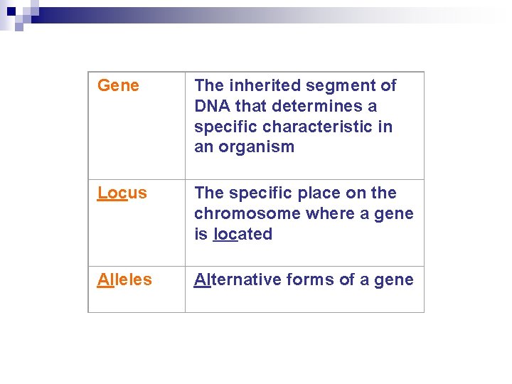 Gene The inherited segment of DNA that determines a specific characteristic in an organism