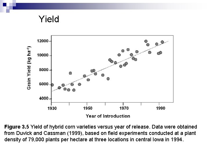 Yield Figure 3. 5 Yield of hybrid corn varieties versus year of release. Data