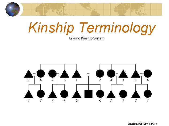 Kinship Terminology Copyright 2005 Allyn & Bacon 