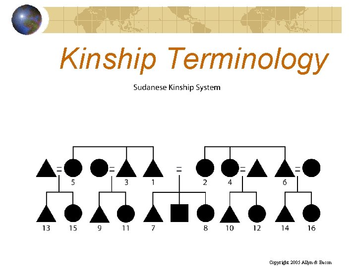 Kinship Terminology Copyright 2005 Allyn & Bacon 