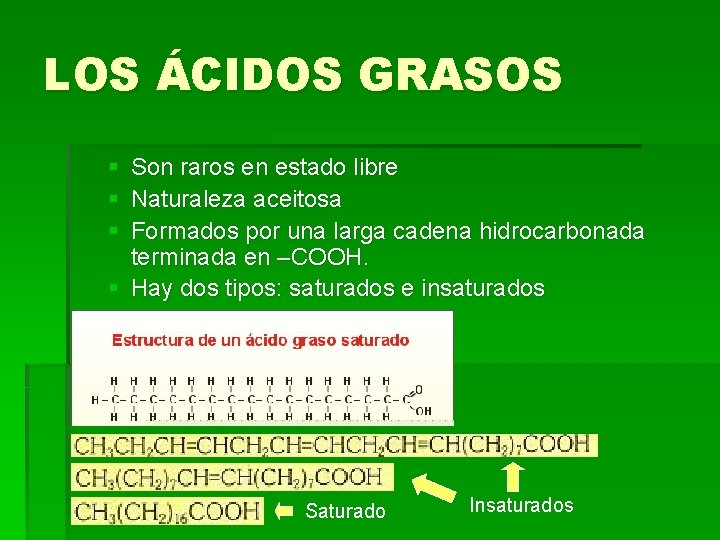 LOS ÁCIDOS GRASOS § § § Son raros en estado libre Naturaleza aceitosa Formados