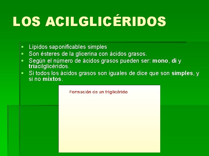 LOS ACILGLICÉRIDOS § Lípidos saponificables simples § Son ésteres de la glicerina con ácidos