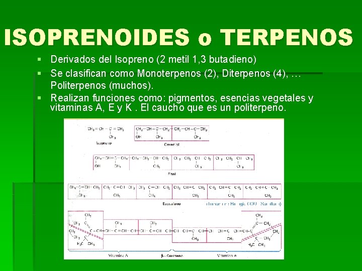 ISOPRENOIDES o TERPENOS § Derivados del Isopreno (2 metil 1, 3 butadieno) § Se