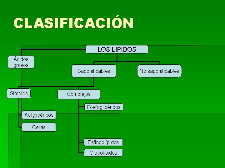 CLASIFICACIÓN LOS LÍPIDOS Ácidos grasos Saponificables Simples Complejos Fosfoglicéridos Acilglicéridos Ceras Esfingolípidos Glucolípidos No