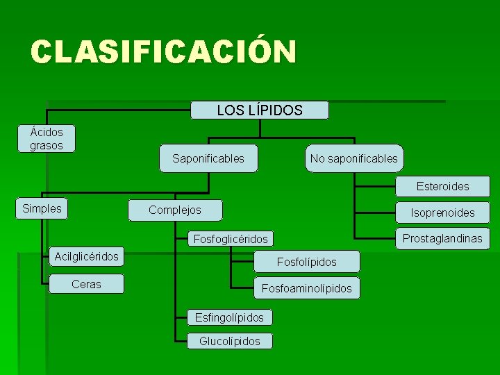 CLASIFICACIÓN LOS LÍPIDOS Ácidos grasos Saponificables No saponificables Esteroides Simples Complejos Isoprenoides Prostaglandinas Fosfoglicéridos