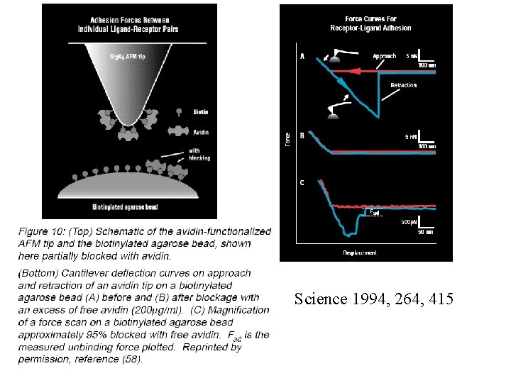 Science 1994, 264, 415 
