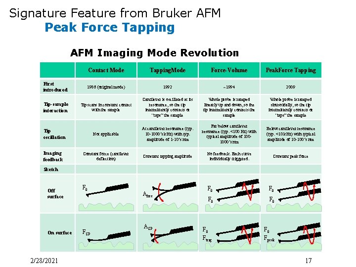 Signature Feature from Bruker AFM Peak Force Tapping AFM Imaging Mode Revolution Contact Mode