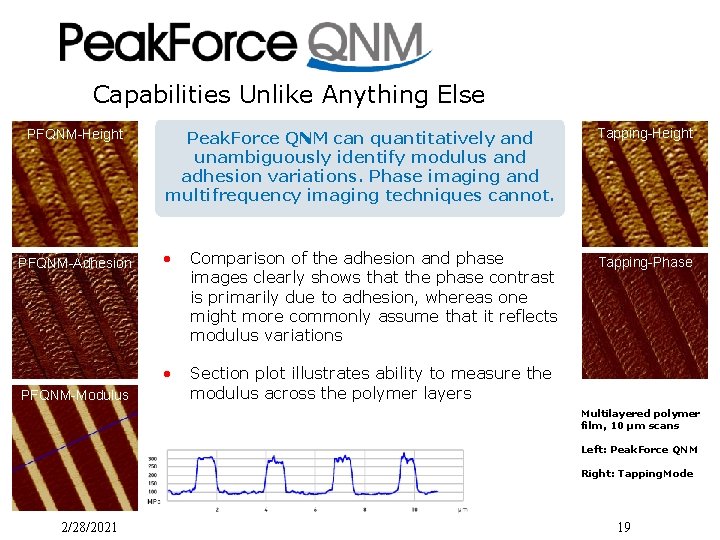 Capabilities Unlike Anything Else PFQNM-Height PFQNM-Adhesion PFQNM-Modulus Peak. Force QNM can quantitatively and unambiguously