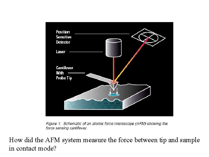 How did the AFM system measure the force between tip and sample in contact