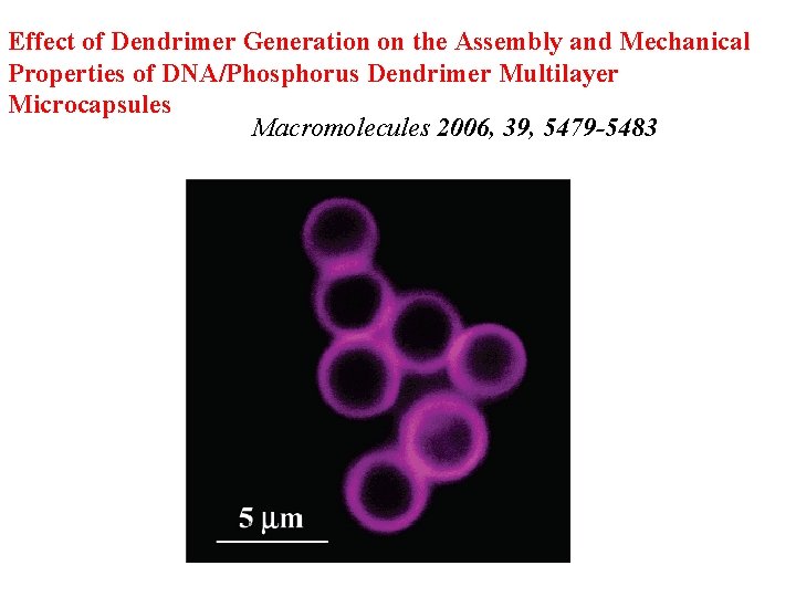 Effect of Dendrimer Generation on the Assembly and Mechanical Properties of DNA/Phosphorus Dendrimer Multilayer