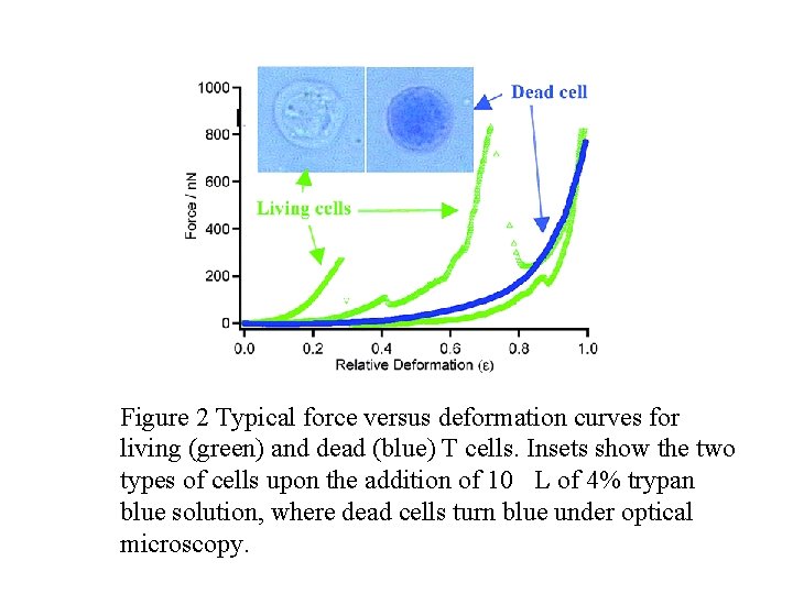 Figure 2 Typical force versus deformation curves for living (green) and dead (blue) T