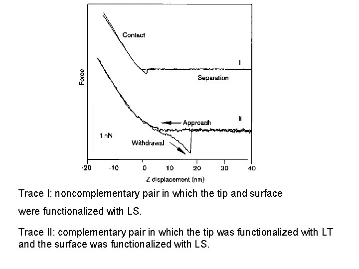Trace I: noncomplementary pair in which the tip and surface were functionalized with LS.