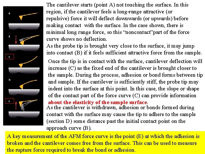 The cantilever starts (point A) not touching the surface. In this region, if the