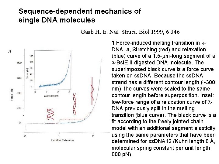 Sequence-dependent mechanics of single DNA molecules Gaub H. E. Nat. Struct. Biol. 1999, 6