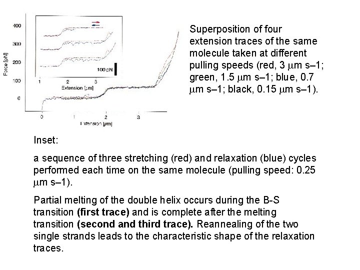 Superposition of four extension traces of the same molecule taken at different pulling speeds