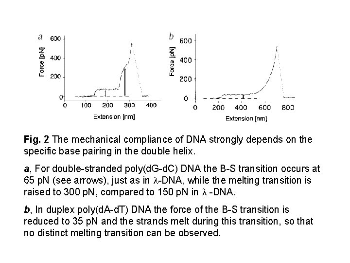Fig. 2 The mechanical compliance of DNA strongly depends on the specific base pairing