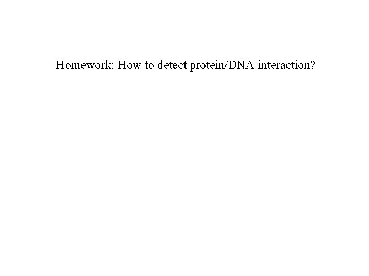Homework: How to detect protein/DNA interaction? 