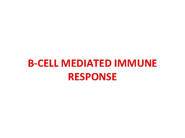 B-CELL MEDIATED IMMUNE RESPONSE 