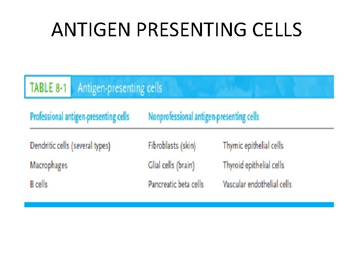 ANTIGEN PRESENTING CELLS 