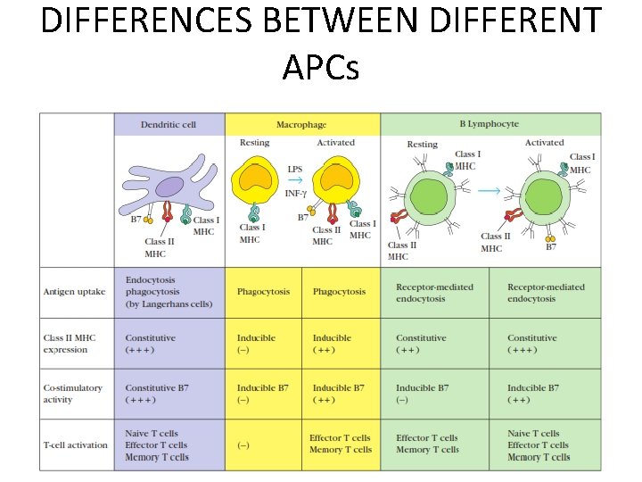 DIFFERENCES BETWEEN DIFFERENT APCs 