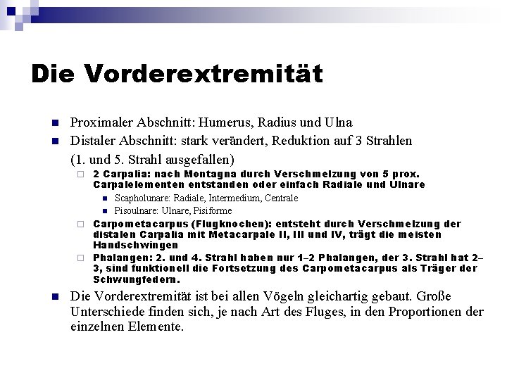 Die Vorderextremität n n Proximaler Abschnitt: Humerus, Radius und Ulna Distaler Abschnitt: stark verändert,