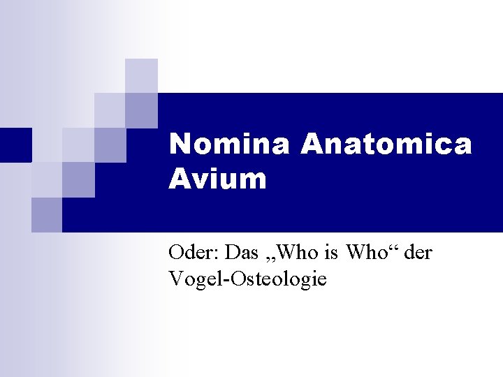 Nomina Anatomica Avium Oder: Das „Who is Who“ der Vogel-Osteologie 