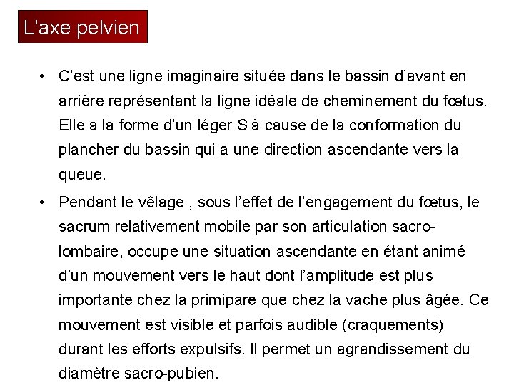L’axe pelvien • C’est une ligne imaginaire située dans le bassin d’avant en arrière