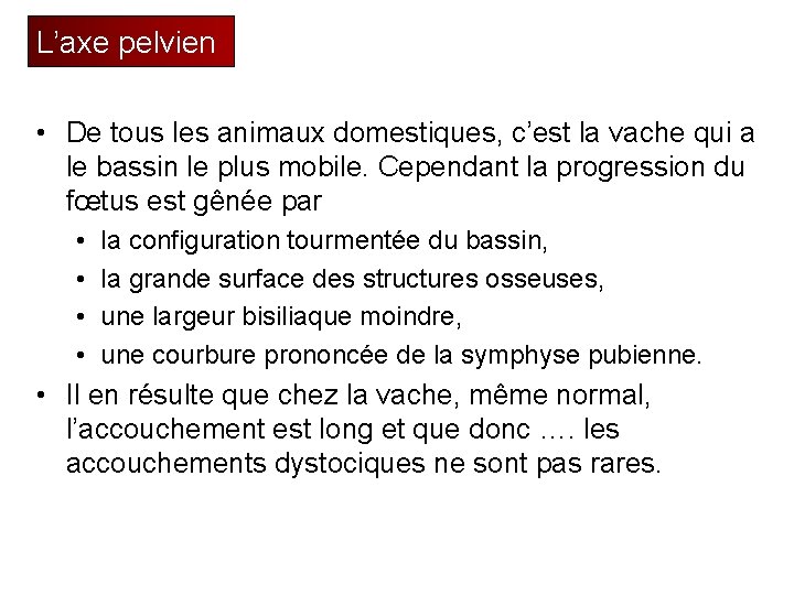 L’axe pelvien • De tous les animaux domestiques, c’est la vache qui a le