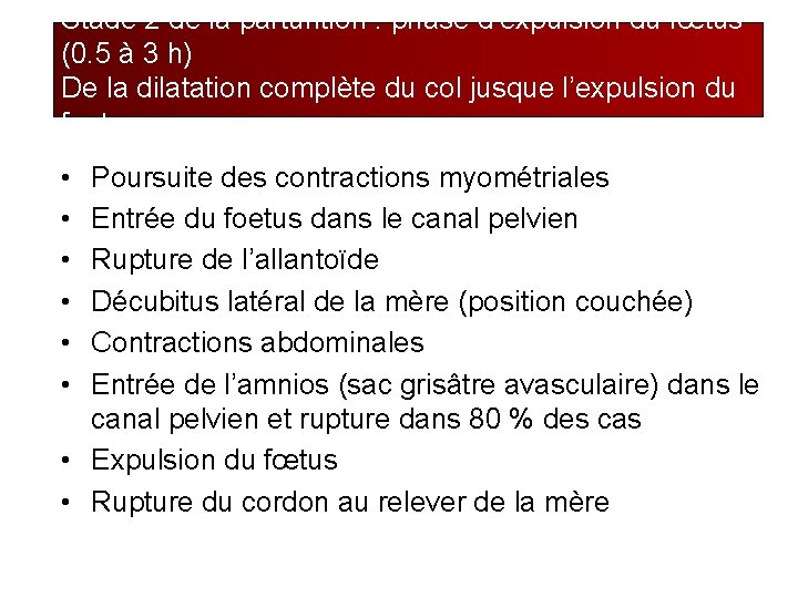 Stade 2 de la parturition : phase d’expulsion du fœtus (0. 5 à 3