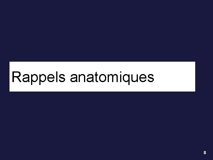 Rappels anatomiques 8 