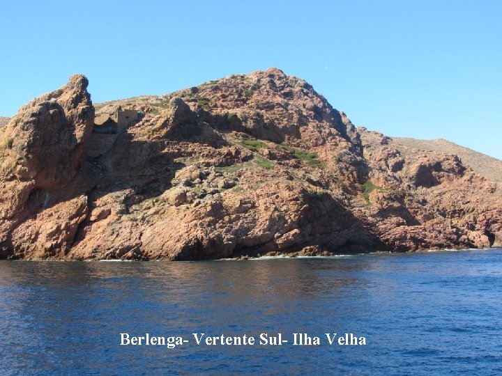 Berlenga- Vertente Sul- Ilha Velha 