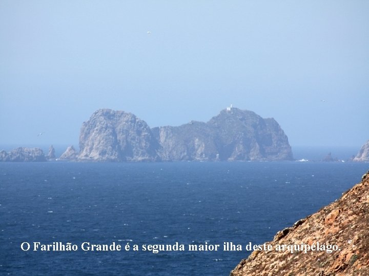 O Farilhão Grande é a segunda maior ilha deste arquipélago. 