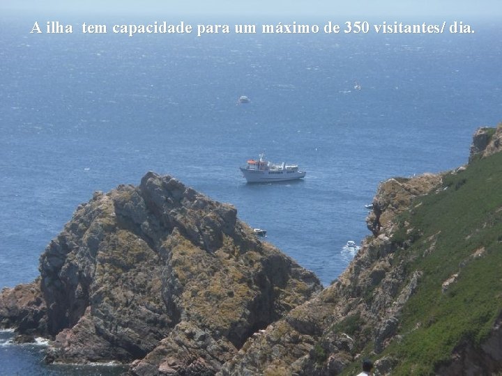 A ilha tem capacidade para um máximo de 350 visitantes/ dia. 