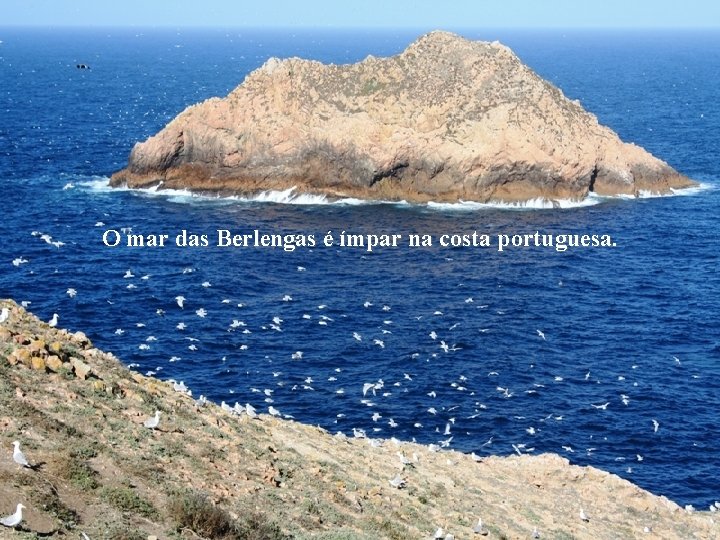 O mar das Berlengas é ímpar na costa portuguesa. 