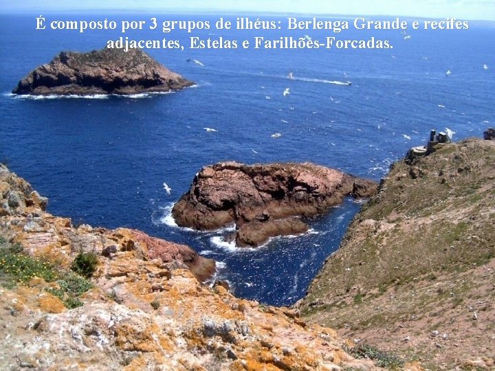 É composto por 3 grupos de ilhéus: Berlenga Grande e recifes adjacentes, Estelas e