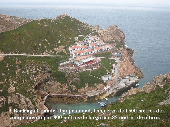 A Berlenga Grande, ilha principal, tem cerca de 1500 metros de comprimento por 800