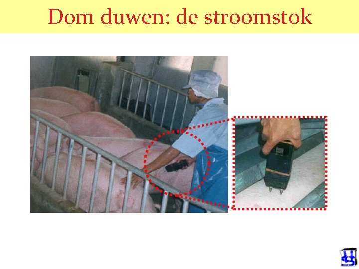 Dom duwen: de stroomstok 