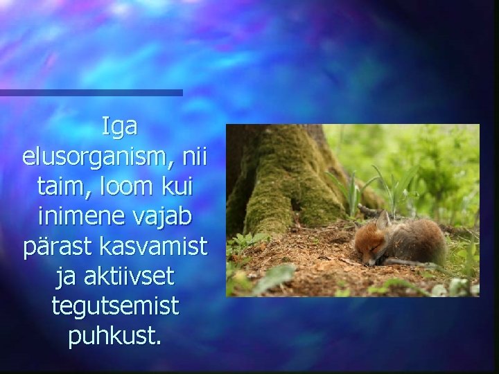 Iga elusorganism, nii taim, loom kui inimene vajab pärast kasvamist ja aktiivset tegutsemist puhkust.