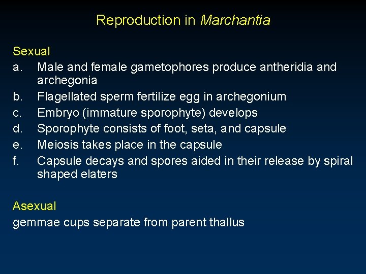 Reproduction in Marchantia Sexual a. Male and female gametophores produce antheridia and archegonia b.