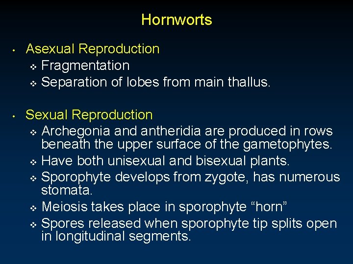 Hornworts • • Asexual Reproduction v Fragmentation v Separation of lobes from main thallus.