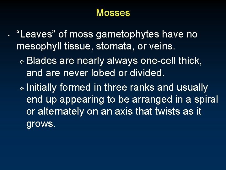 Mosses • “Leaves” of moss gametophytes have no mesophyll tissue, stomata, or veins. v