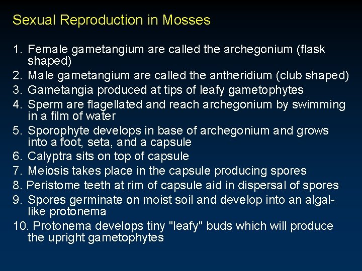 Sexual Reproduction in Mosses 1. Female gametangium are called the archegonium (flask shaped) 2.