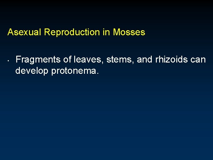 Asexual Reproduction in Mosses • Fragments of leaves, stems, and rhizoids can develop protonema.