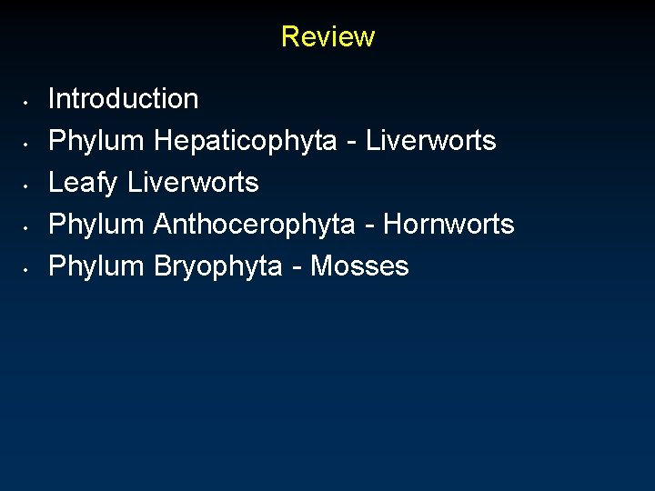 Review • • • Introduction Phylum Hepaticophyta - Liverworts Leafy Liverworts Phylum Anthocerophyta -