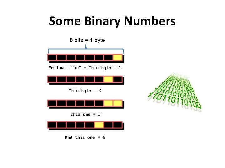 Some Binary Numbers 8 bits = 1 byte 