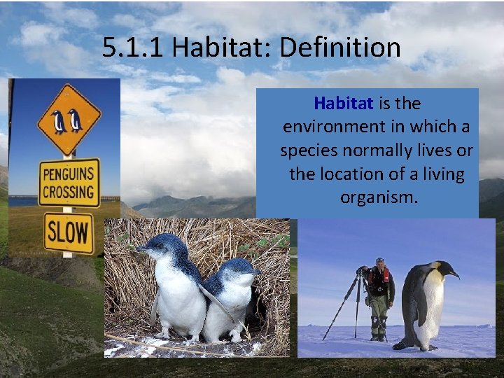 5. 1. 1 Habitat: Definition Habitat is the environment in which a species normally 5. 1. 1 Habitat: Definition Habitat is the environment in which a species normally