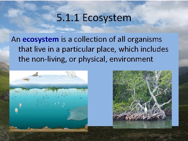 5. 1. 1 Ecosystem An ecosystem is a collection of all organisms that live 5. 1. 1 Ecosystem An ecosystem is a collection of all organisms that live