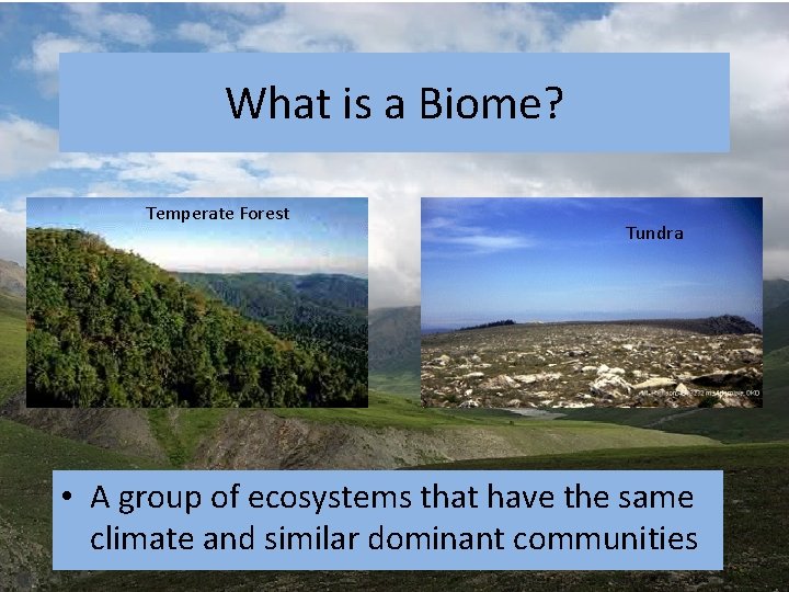 What is a Biome? Temperate Forest Tundra • A group of ecosystems that have What is a Biome? Temperate Forest Tundra • A group of ecosystems that have
