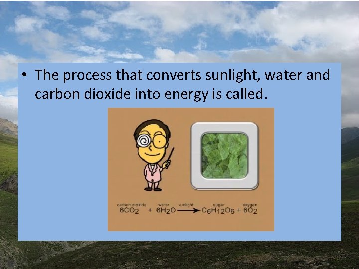 • The process that converts sunlight, water and carbon dioxide into energy is • The process that converts sunlight, water and carbon dioxide into energy is
