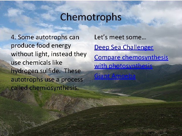 Chemotrophs 4. Some autotrophs can produce food energy without light, instead they use chemicals Chemotrophs 4. Some autotrophs can produce food energy without light, instead they use chemicals